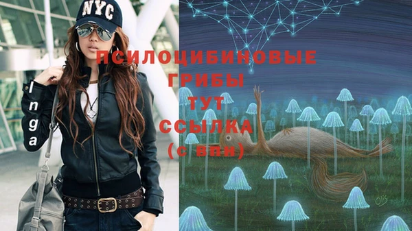 экстази Баксан