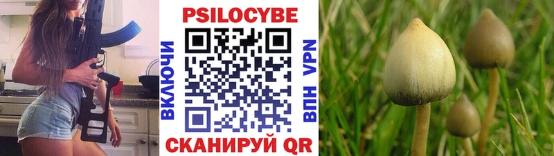 Галлюциногенные грибы Magic Shrooms Купить где Берёзовский